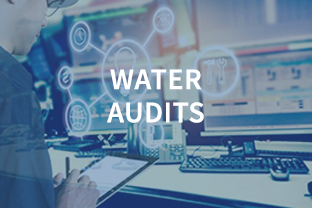 cropped-water-audits-button-312x208-1.png